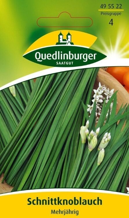Schnittknoblauch Mehrjährig