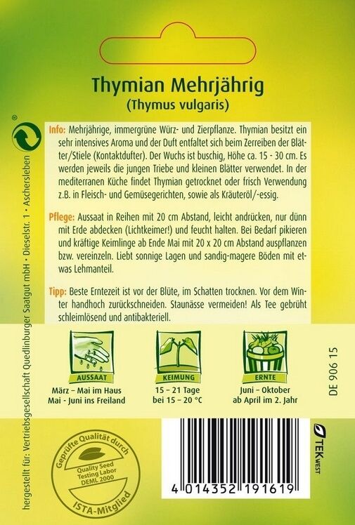 Thymian Mehrjährig