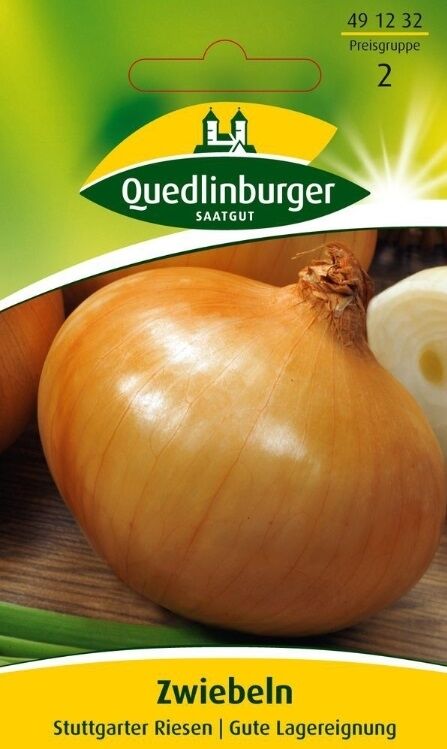Zwiebeln Stuttgarter Riesen