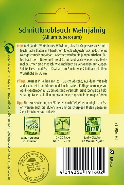 Schnittknoblauch Mehrjährig