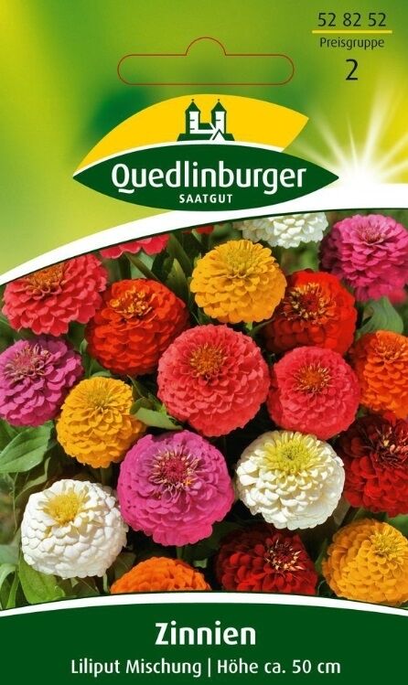Zinnien, Lilliput Mischung