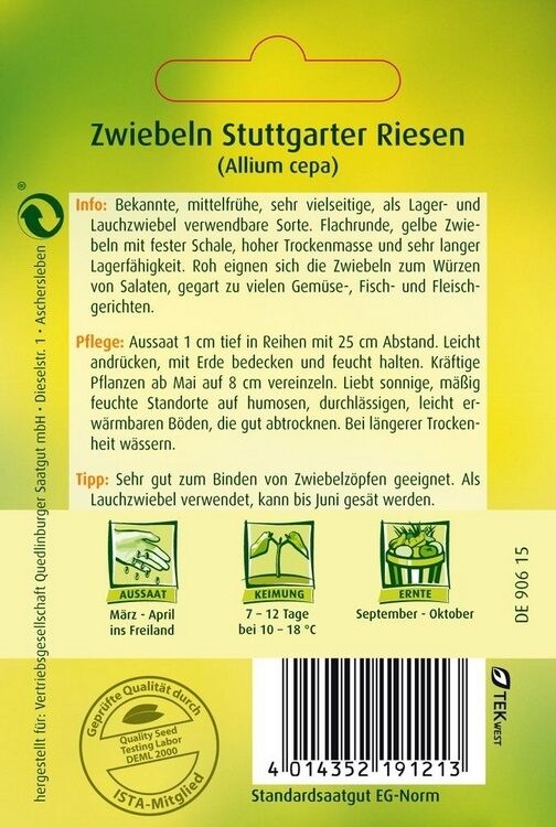 Zwiebeln Stuttgarter Riesen