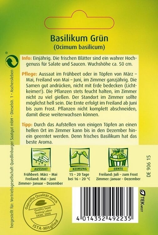 Basilikum grün