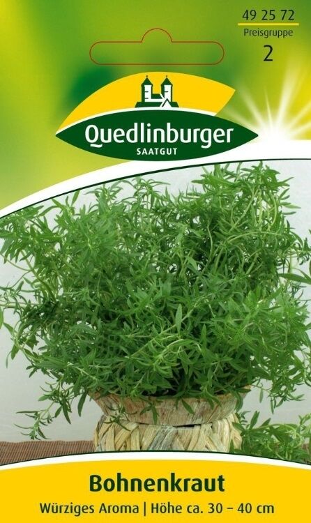 Bohnenkraut Einjähriges
