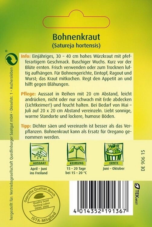 Bohnenkraut Einjähriges