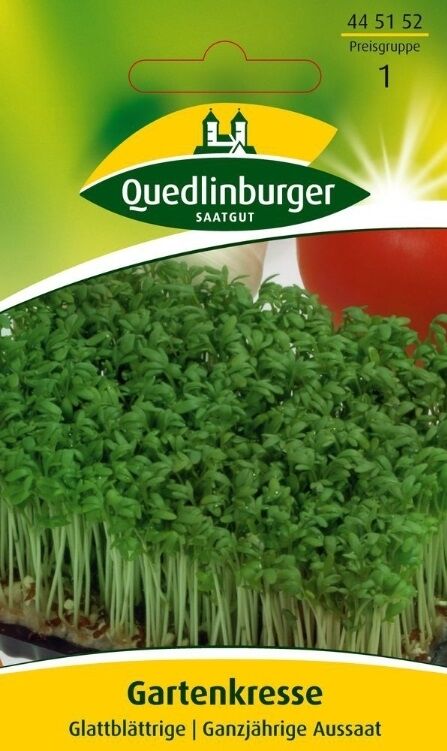 Gartenkresse Glattblättrige