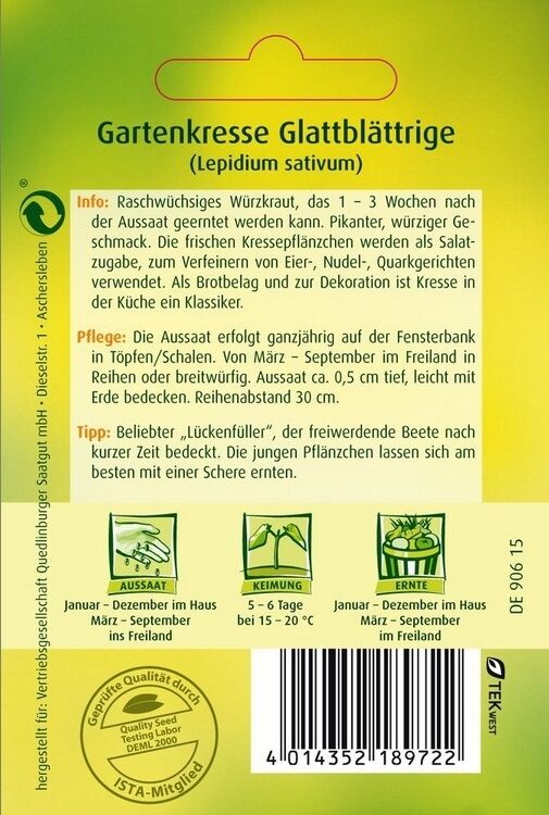 Gartenkresse Glattblättrige