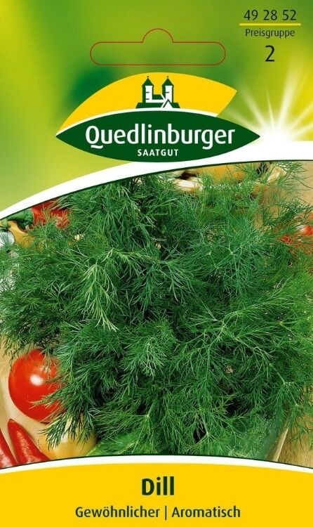 Dill Gewöhnlicher