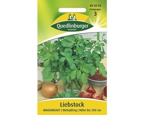 Liebstock Liebstöckel Maggikraut mehrjährig