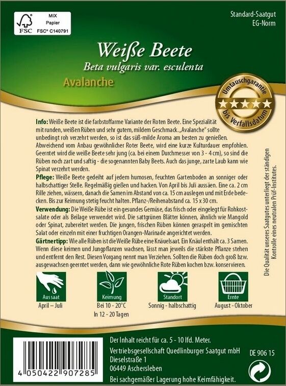 Weiße Beete Avalanche/Beta vulgaris var. esculenta